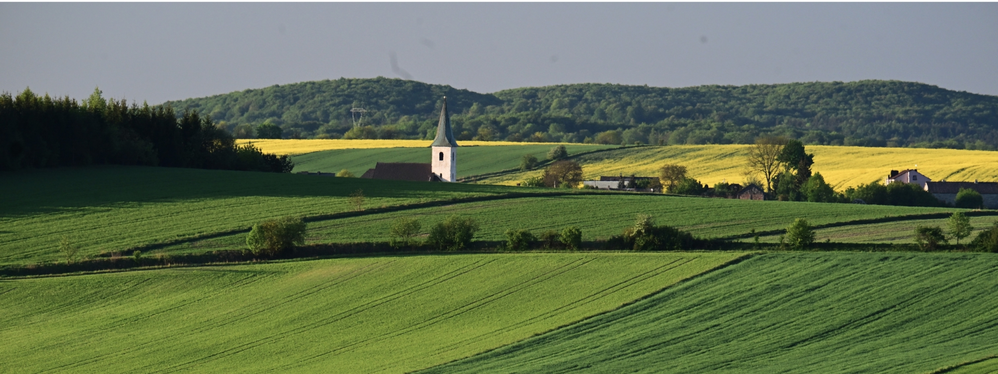 Konkurs dla uczniów klas VII - VIII szkół podstawowych pn. 